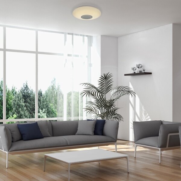 Rabalux 3509 - LED RGB Stmívatelné stropní svítidlo RODION LED/24W/230V + DO