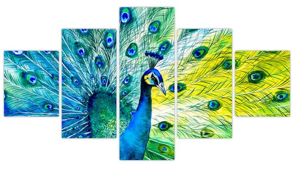 Obraz páva (125x70 cm)