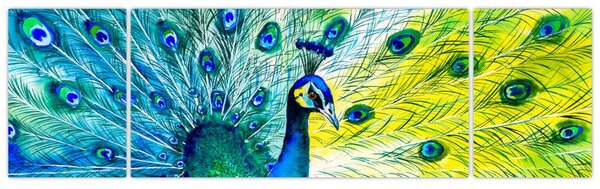 Obraz páva (170x50 cm)