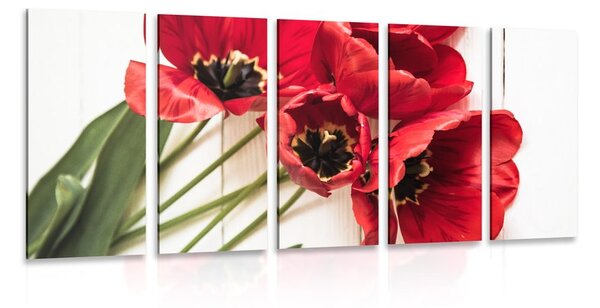 5-dílný obraz rozkvetlé červené tulipány