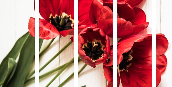 5-dílný obraz rozkvetlé červené tulipány