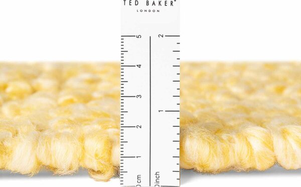 Ted Baker, Kusový koberec Ted Baker Notting Hill 106348 Yellow, 120x170, žlutá, ložnice