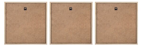 Obrazy v sadě 3 ks 30x30 cm Pampas – Styler