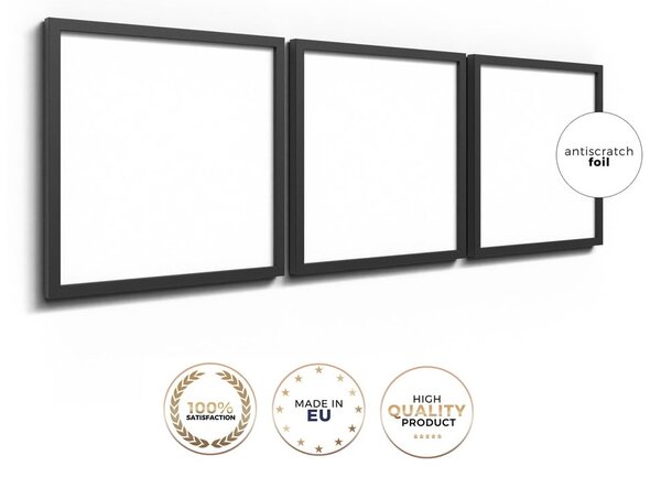 Obrazy v sadě 3 ks 30x30 cm Pampas – Styler