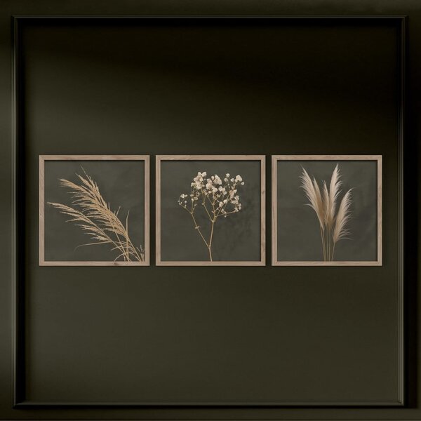 Obrazy v sadě 3 ks 30x30 cm Pampas – Styler