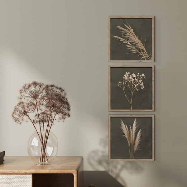 Obrazy v sadě 3 ks 30x30 cm Pampas – Styler