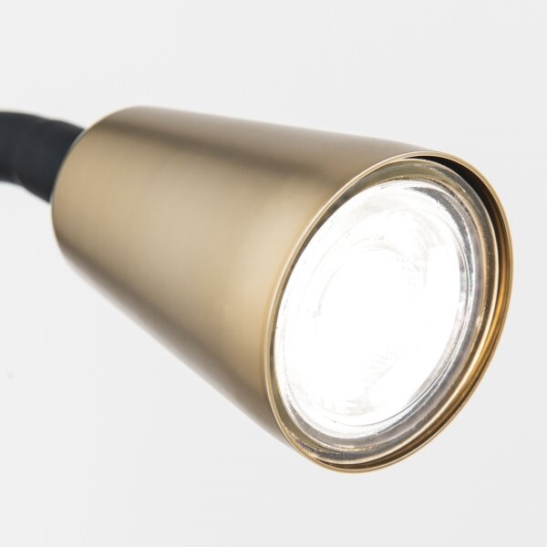 Orion - Flexibilní stolní lampa s klipem DOTTY 1xGU10/10W/230V mosaz/černá