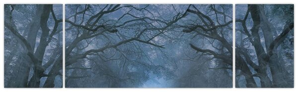 Obraz lesa v mlze (170x50 cm)