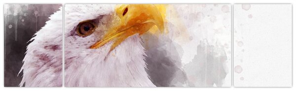 Obraz orla (170x50 cm)