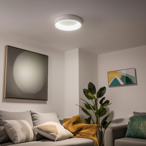 Brilagi - LED Stmívatelné stropní svítidlo FALCON LED/40W/230V 3000-6500K + DO