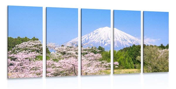 5-dílný obraz sopka Fuji