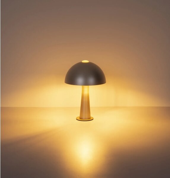 Globo 50670152 - Stolní lampa JULIA 1xE14/25W/230V matný chrom