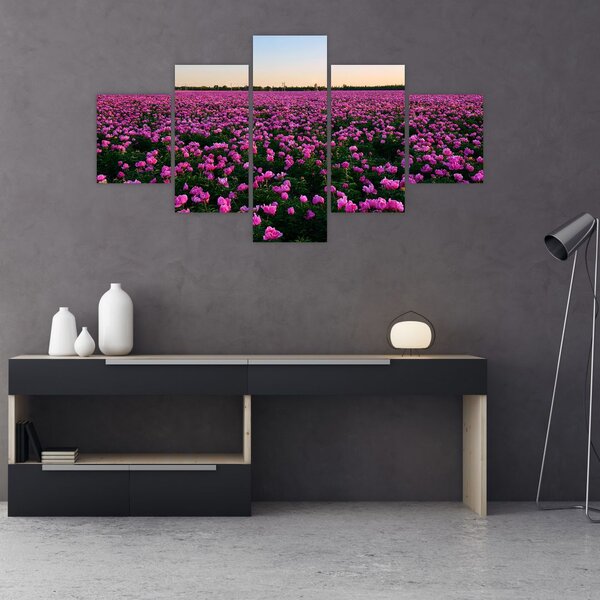 Obraz - Louka fialových tulipánů (125x70 cm)