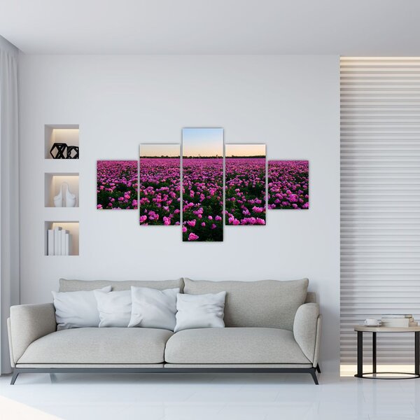 Obraz - Louka fialových tulipánů (125x70 cm)