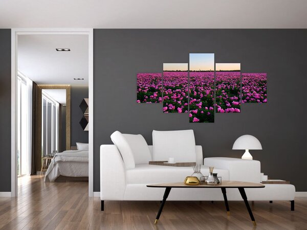 Obraz - Louka fialových tulipánů (125x70 cm)