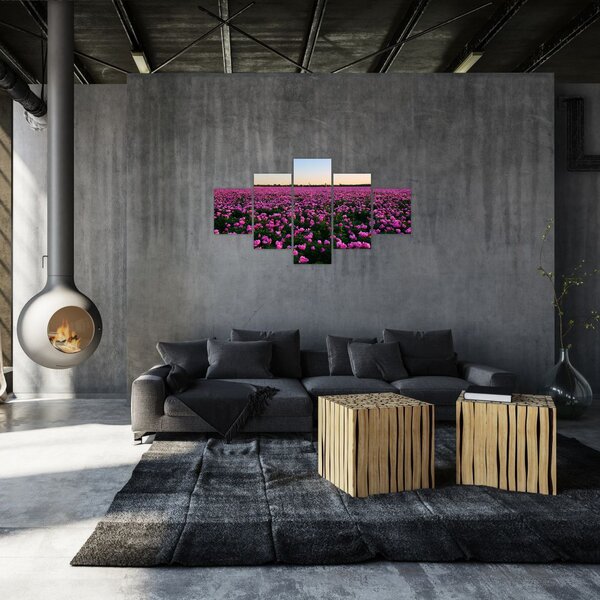 Obraz - Louka fialových tulipánů (125x70 cm)