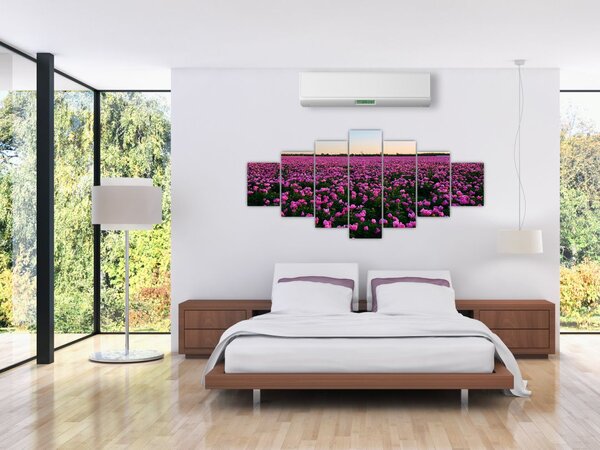 Obraz - Louka fialových tulipánů (210x100 cm)