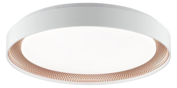 Brilliant - LED Stm stropní svítidlo WALDO LED/36W/230V bílá/rose gold + DO