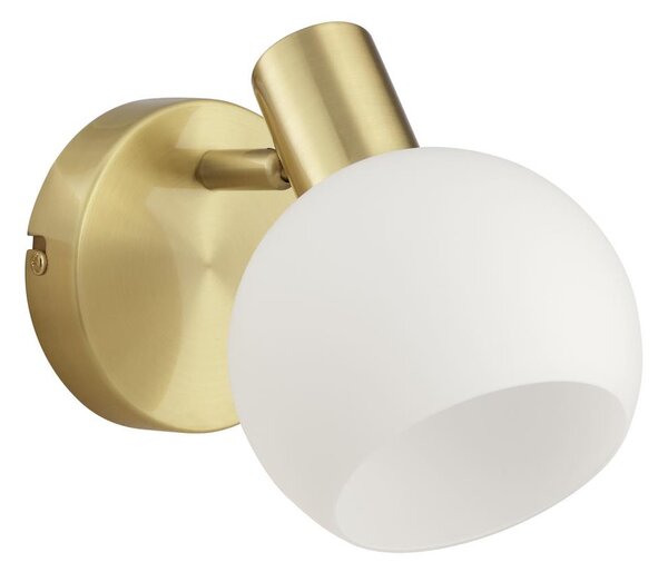 Brilliant - Nástěnné bodové svítidlo CONY 1xE14/20W/230V mosaz