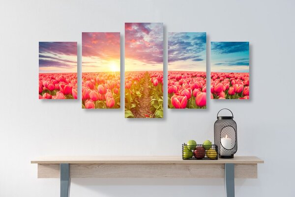 5-dílný obraz východ slunce nad loukou s tulipány
