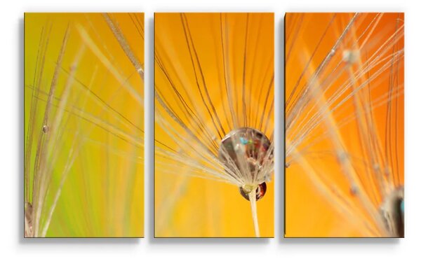 Sablio Obraz - 3-dílný Odkvetlé pampelišky 2 - 120x80 cm