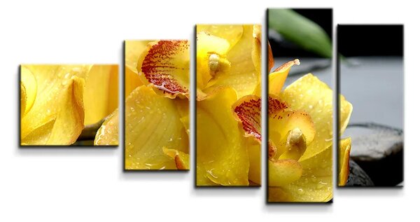 Sablio Obraz - 5-dílný Žluté orchideje - 100x60 cm
