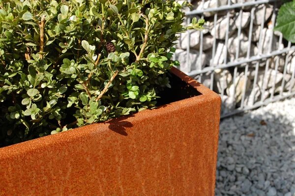 Truhlík MAXI, corten, šířka 60 cm, hnědý