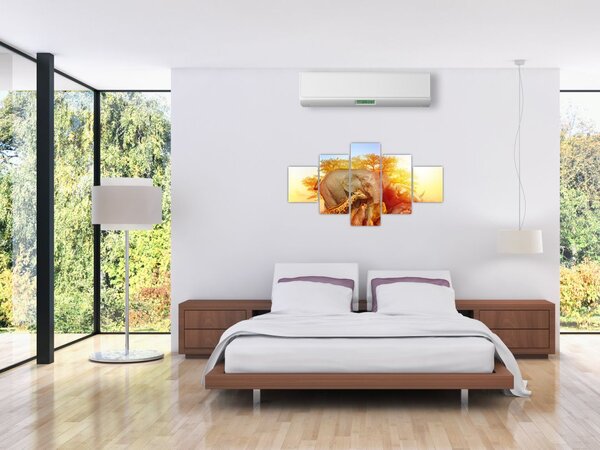 Obraz afrických zvířátek (125x70 cm)