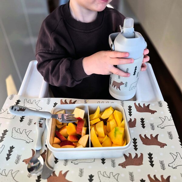 Plastový svačinový box s ventilem KITCHISIMO 830ml medvídek