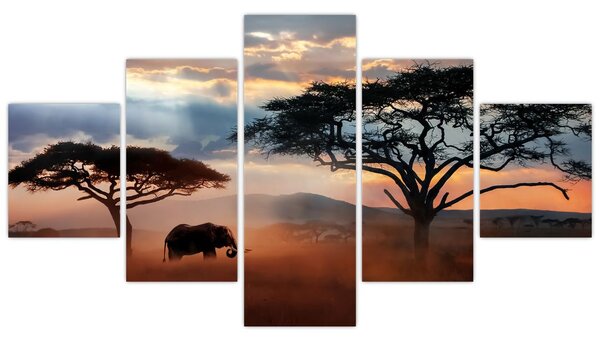 Obraz - Národní park Serengeti, Tanzánie, Afrika (125x70 cm)