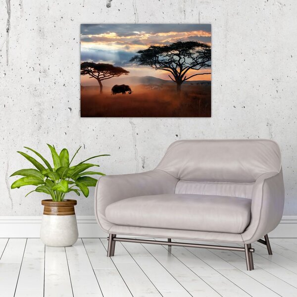 Obraz - Národní park Serengeti, Tanzánie, Afrika (70x50 cm)