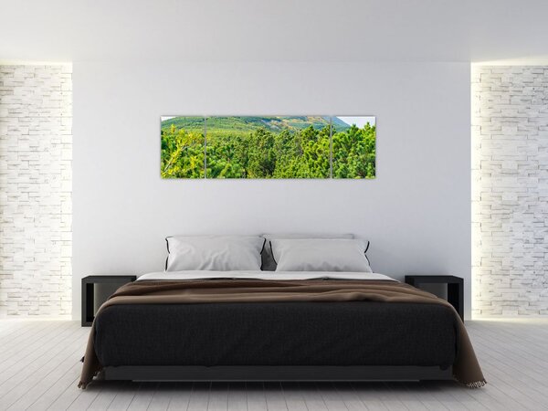 Obraz - Babi Hora, Polsko (170x50 cm)