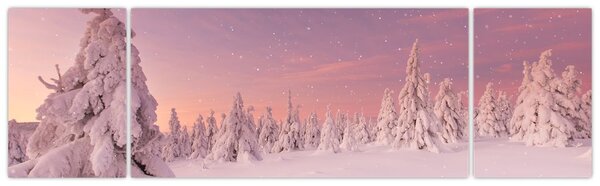 Obraz - Stromy pod sněhovou přikrývkou (170x50 cm)