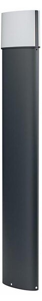 Ledvance - LED Venkovní lampa ENDURA LED/11,5W/230V IP44