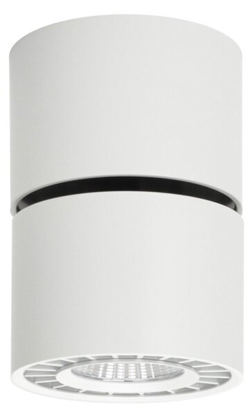 Italux CLN-97018-12W-L-3K LED Herios LED | 3000K