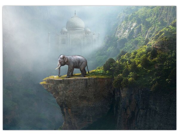 Obraz - Slůně na vrcholku Taj Mahal (70x50 cm)