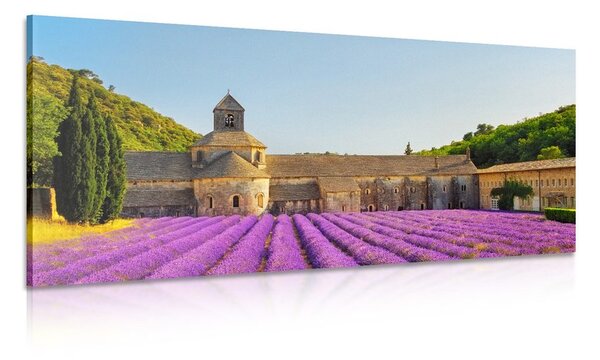 Obraz Provence s levandulovými poli