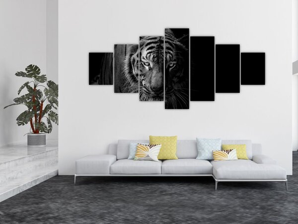Obraz divokého tygra (210x100 cm)