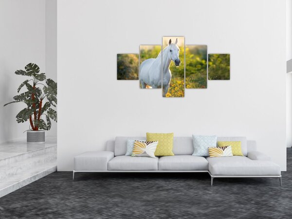 Obraz bílého koně na louce (125x70 cm)