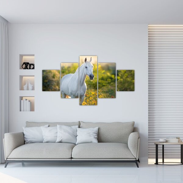 Obraz bílého koně na louce (125x70 cm)
