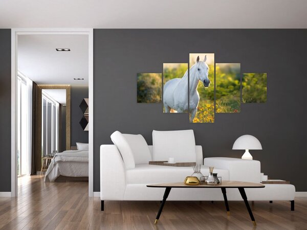 Obraz bílého koně na louce (125x70 cm)