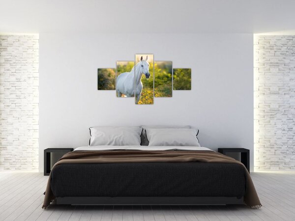 Obraz bílého koně na louce (125x70 cm)