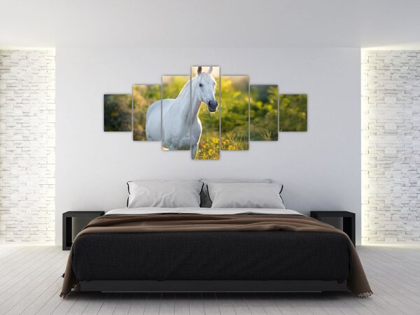 Obraz bílého koně na louce (210x100 cm)