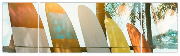 Obraz - Surfovací prkna (170x50 cm)
