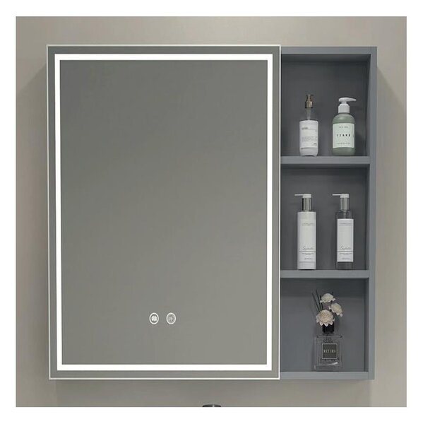 BRILAGI - LED Zrcadlová koupelnová skříňka s podsvícením AVOLA SINGLE 55x70 cm