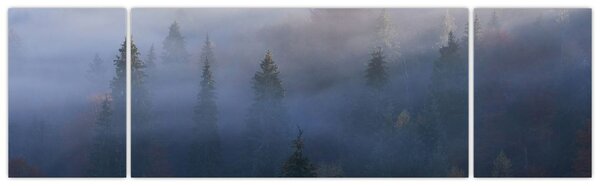 Obraz - Les v mlze, Karpaty, Ukrajina (170x50 cm)