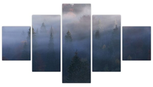 Obraz - Les v mlze, Karpaty, Ukrajina (125x70 cm)