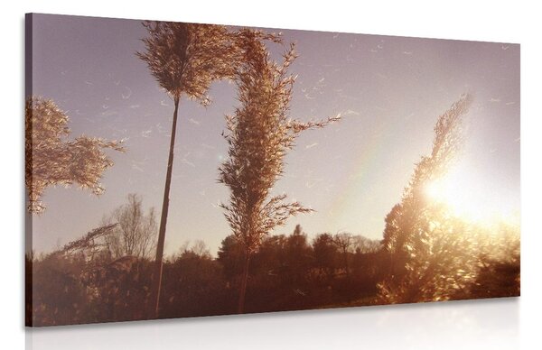 Obraz atmosféra podzimu