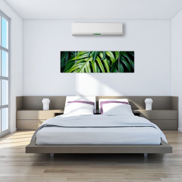 Obraz - Tropické listy (170x50 cm)
