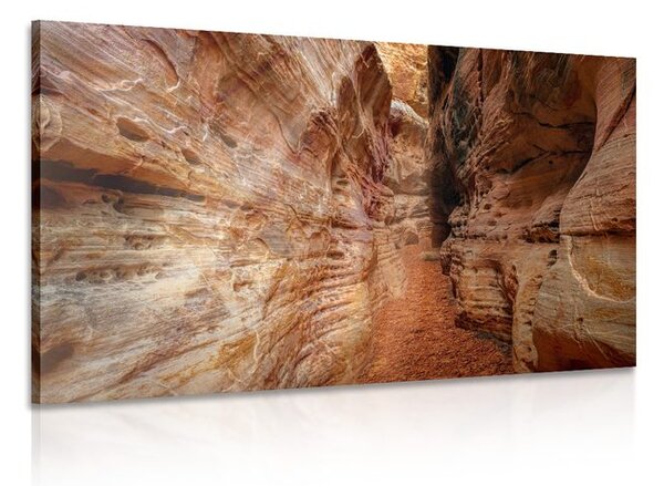 Obraz cestička Grand Canyonem